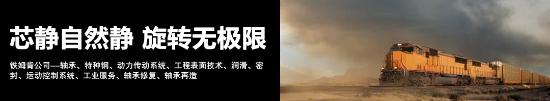 缇庡浗閾佸鑲叕鍙窽IMKEN杞存壙
